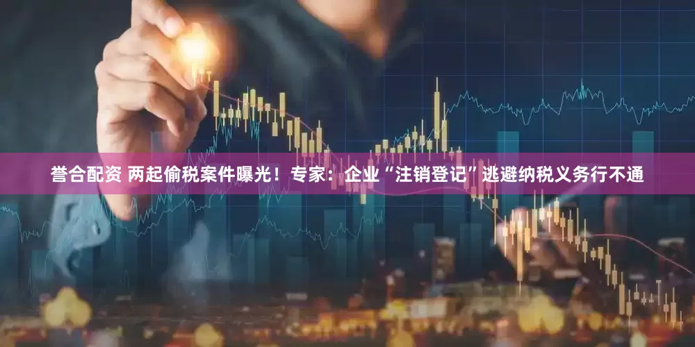 誉合配资 两起偷税案件曝光！专家：企业“注销登记”逃避纳税义务行不通